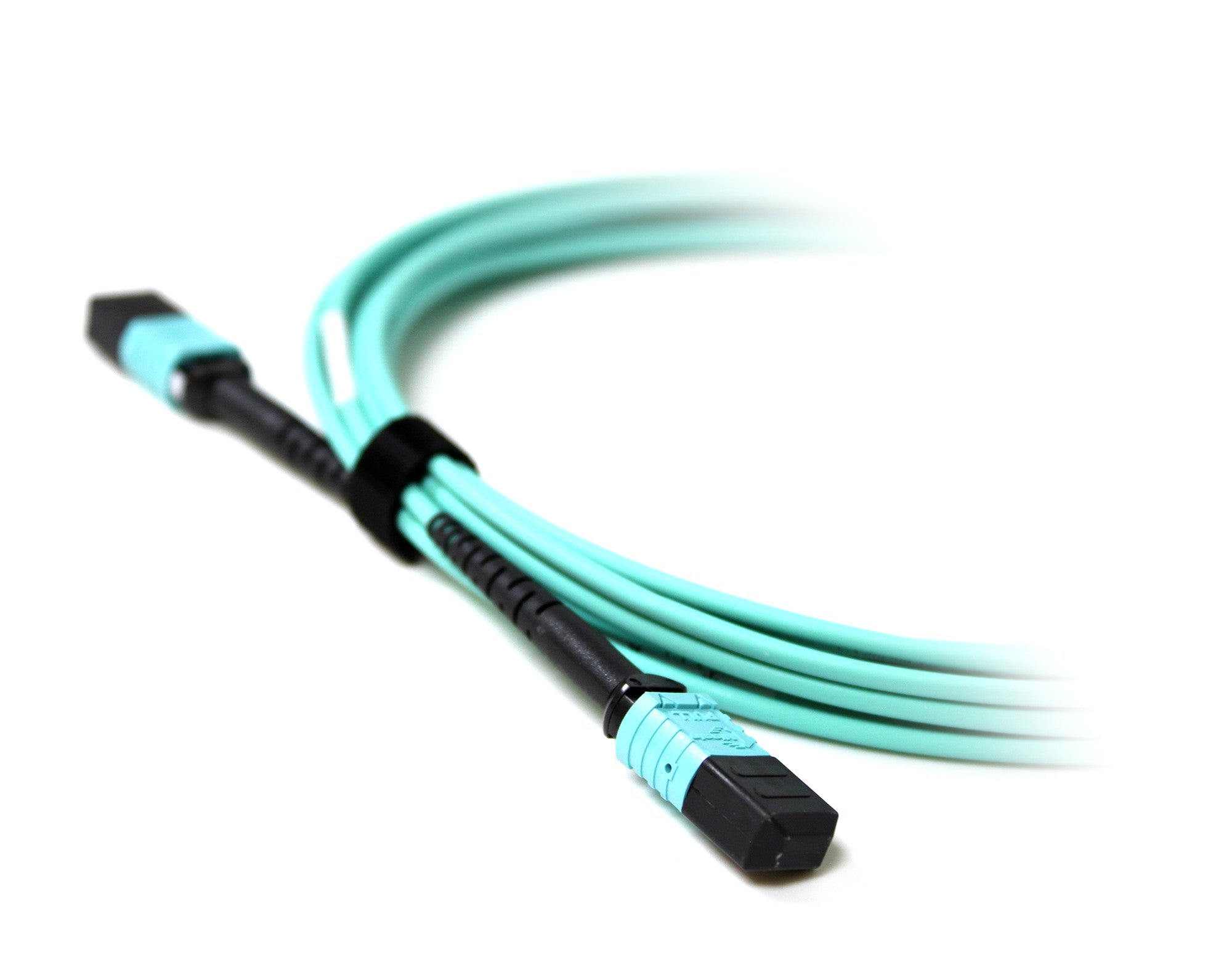 Acconet Patch Lead 12Core MPO Female to MPO Female 5M - image 2