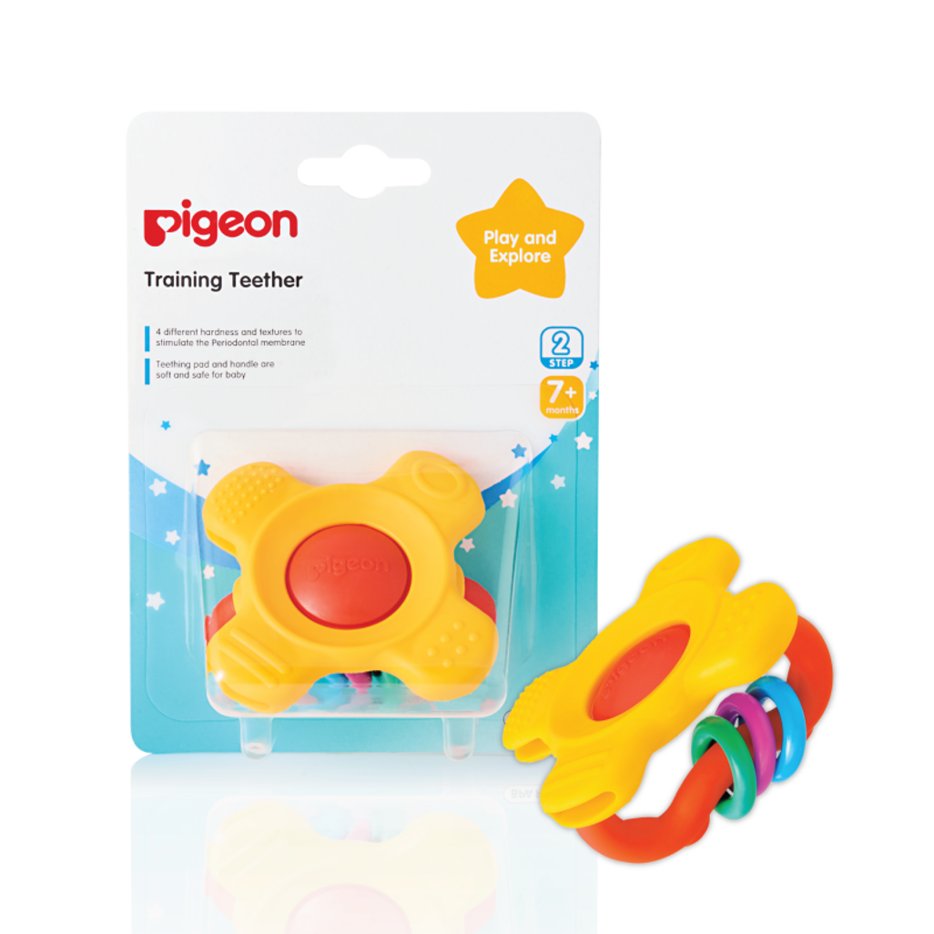 Pigeon - Training Teether Step 2
