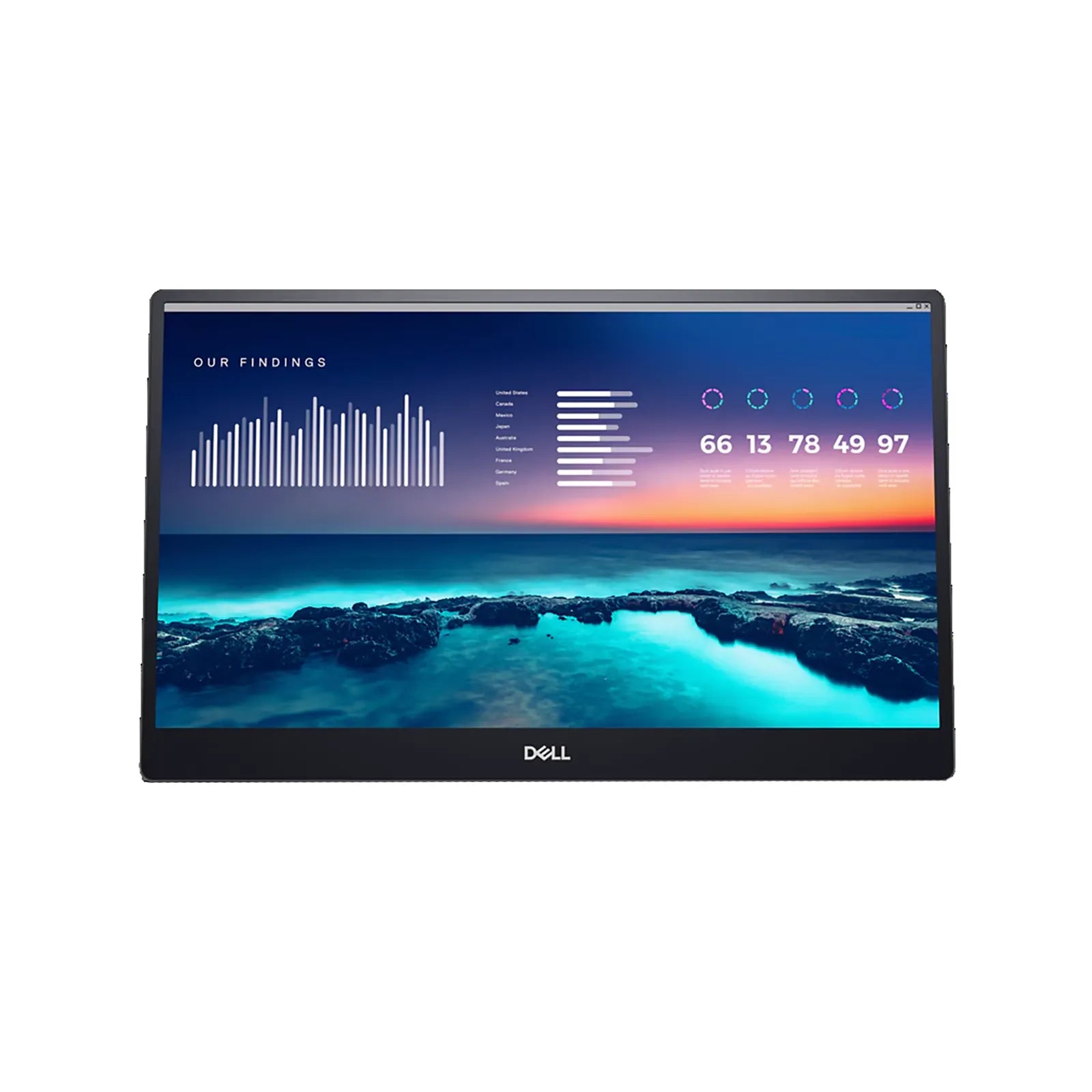 Dell P1424H 14" FHD Monitor