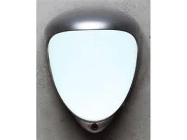 LIGHT WITH AN INTEGRATED COVERT DETECTOR