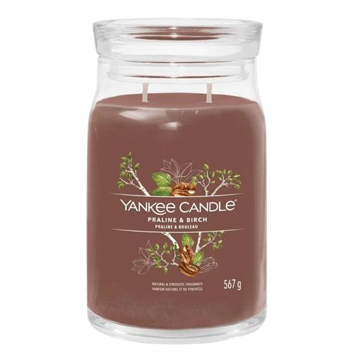 Yankee Candle Signature Collection Praline & Birch 3 Large Jar