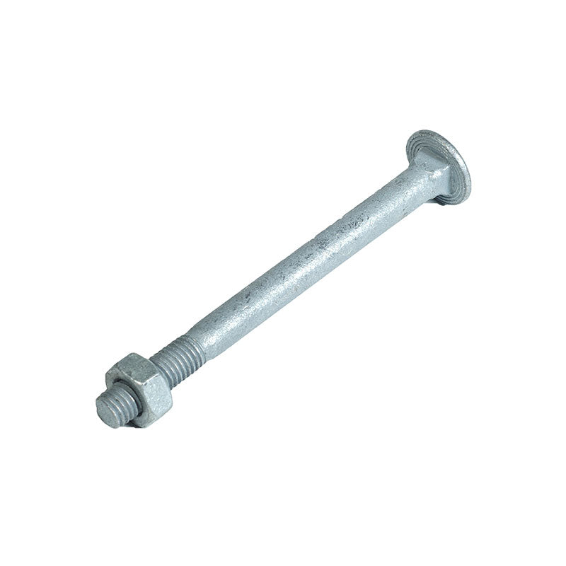 Strainer Post Nut M10