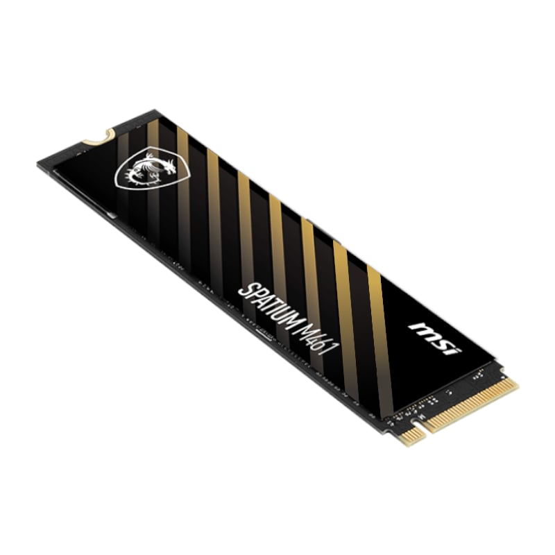 SPATIUM M461 PCIe 4.0 NVMe M.2 500GB