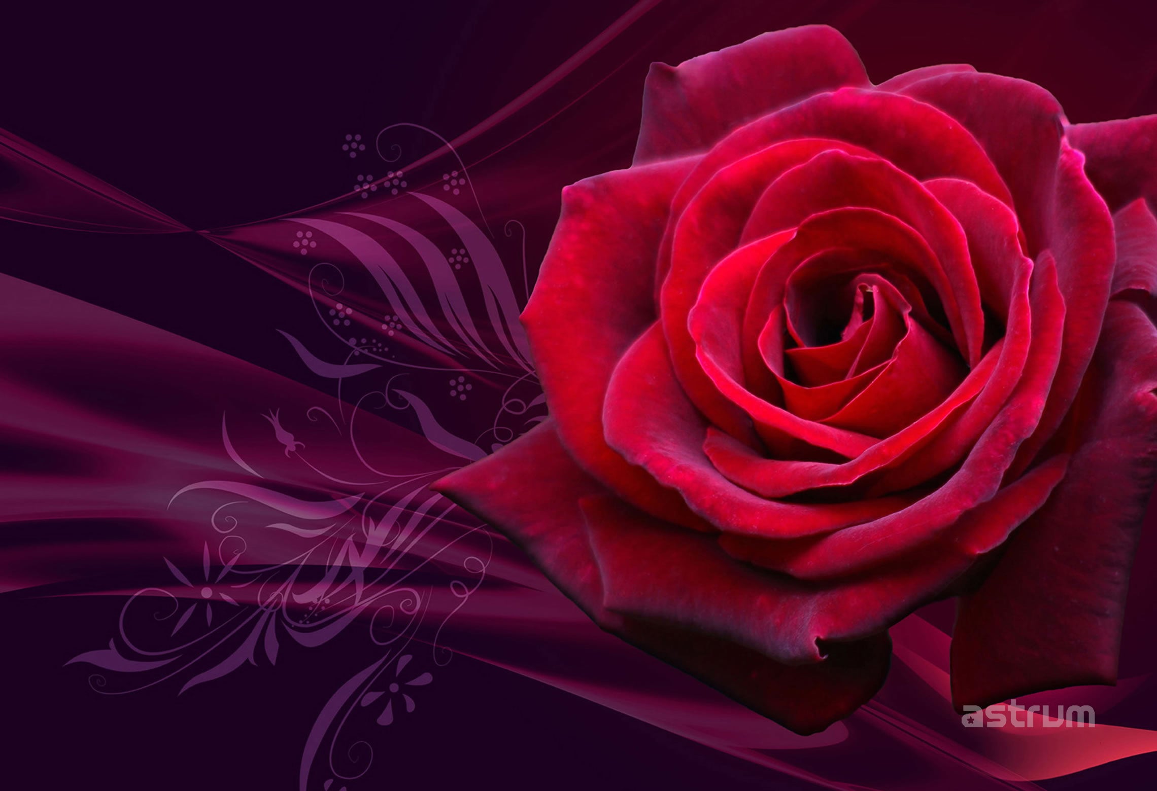 NB200 NOTEBOOK STICKER 15.6 3D ROSE"