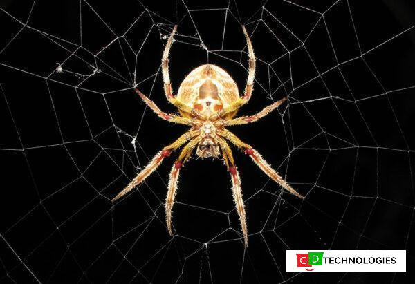 NOTEBOOK STICKER 15.6″ 3D SPIDER