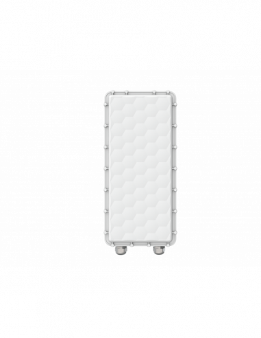 Ligowave PTMP RapidFire 600 Mbps Carrier base-station with N-connectors