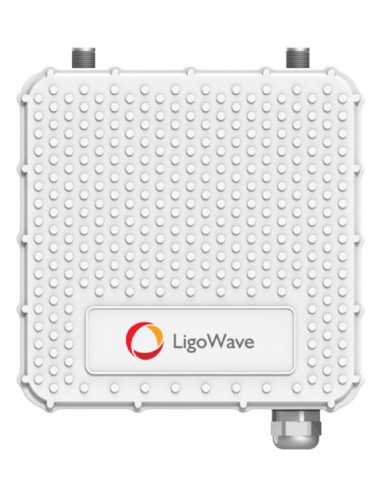 Ligowave PTMP RapidFire 600 Mbps Carrier Subscriber Unit with N-Type connectors.