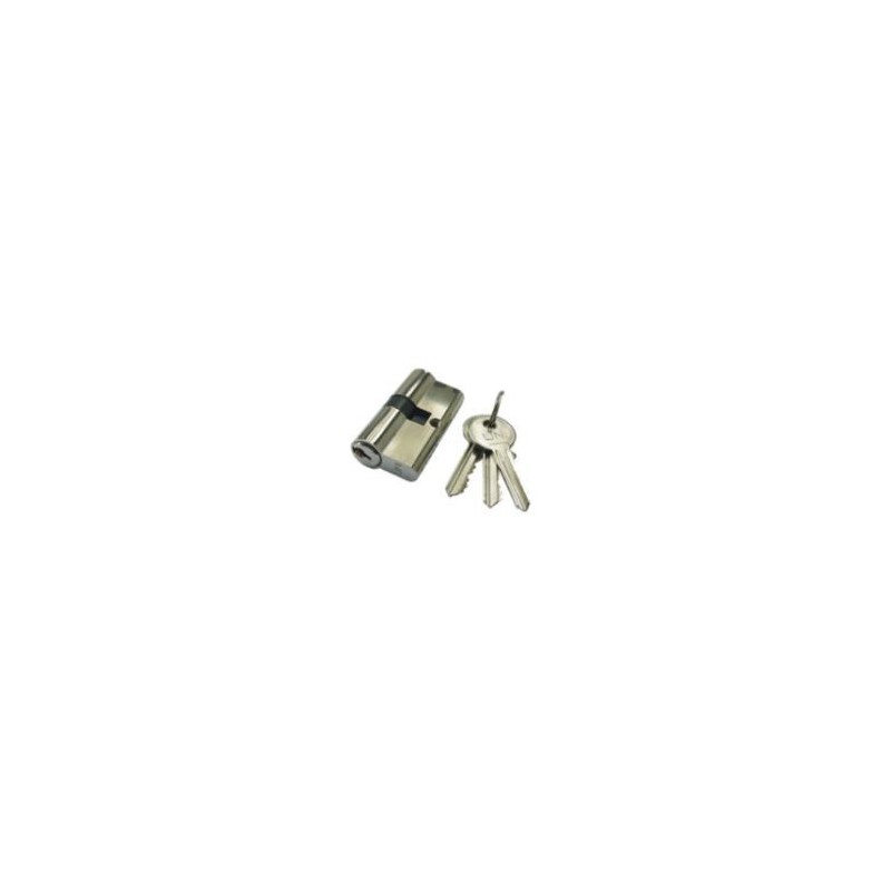 Gate Lock - Cylinder + Keys