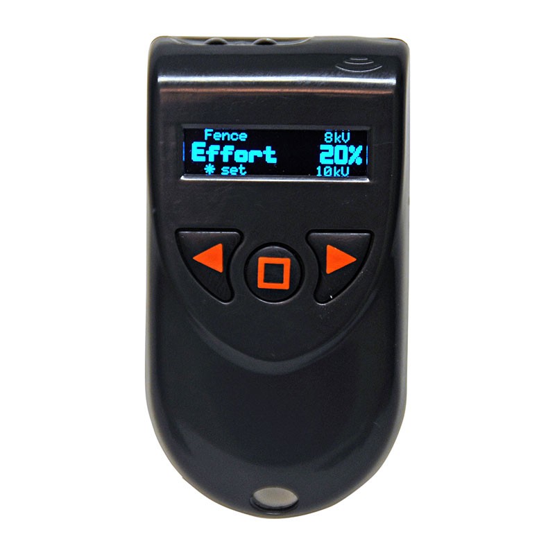 Remote - Agri Key Chain