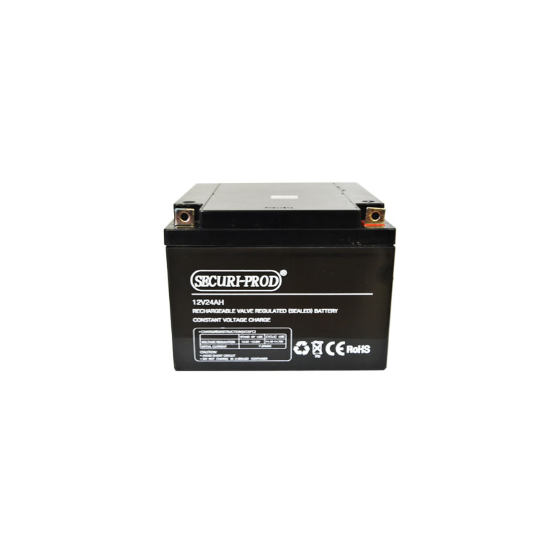 Battery - 12V 25Ah SLA
