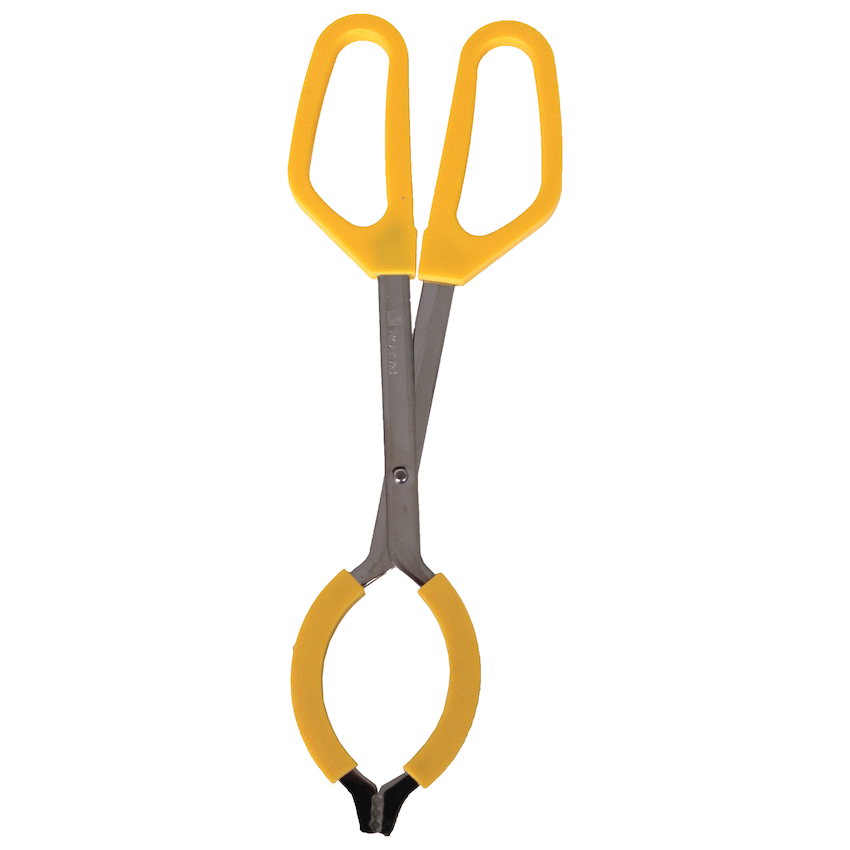 Pigeon Sterilization Tongs