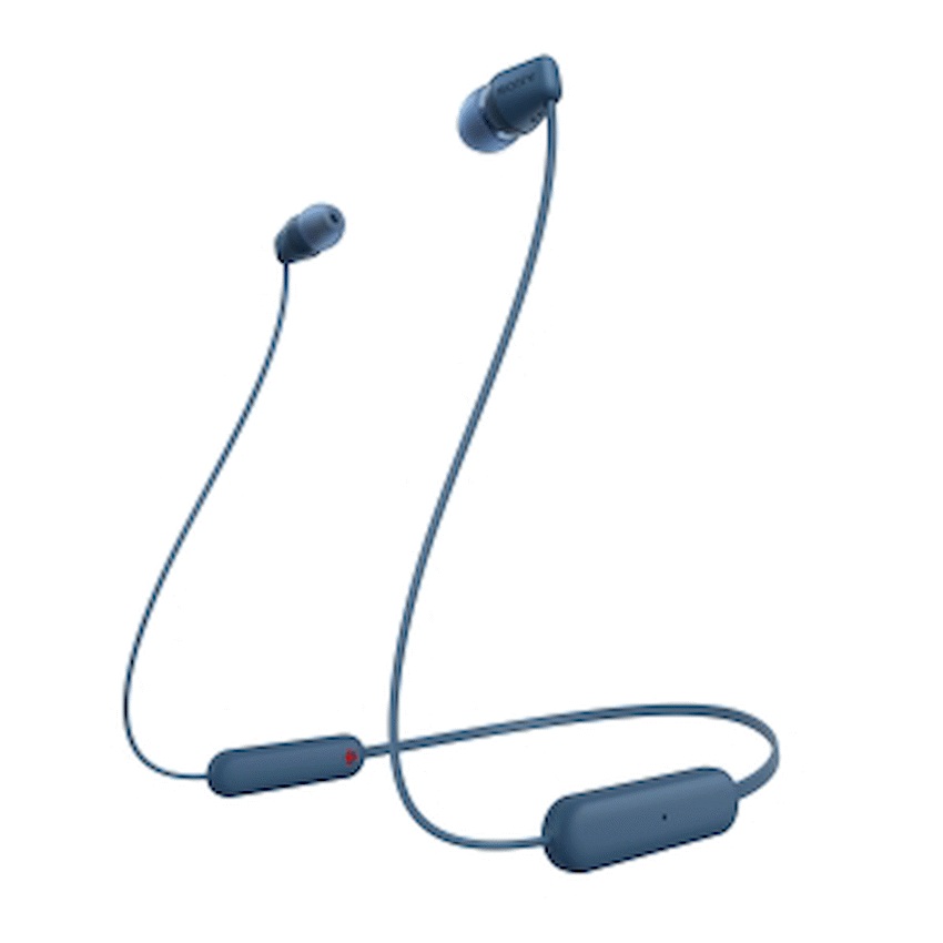 Sony WI-C100 (Black) Wireless Earphones