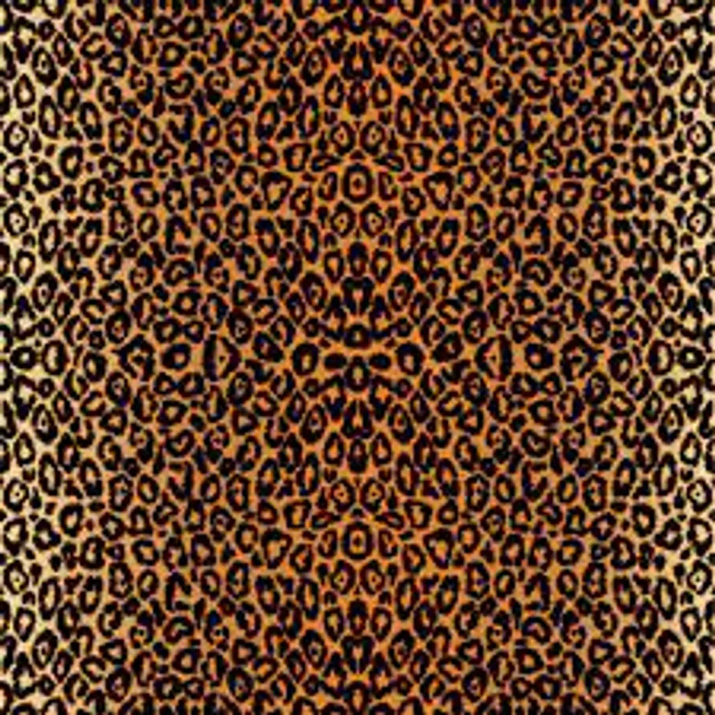 2008768 - Cricut Infusible Ink Transfer Sheets 2-pack (Leopard) 12x12