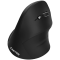 CANYON mouse MW-16 Vertical Wireless Black