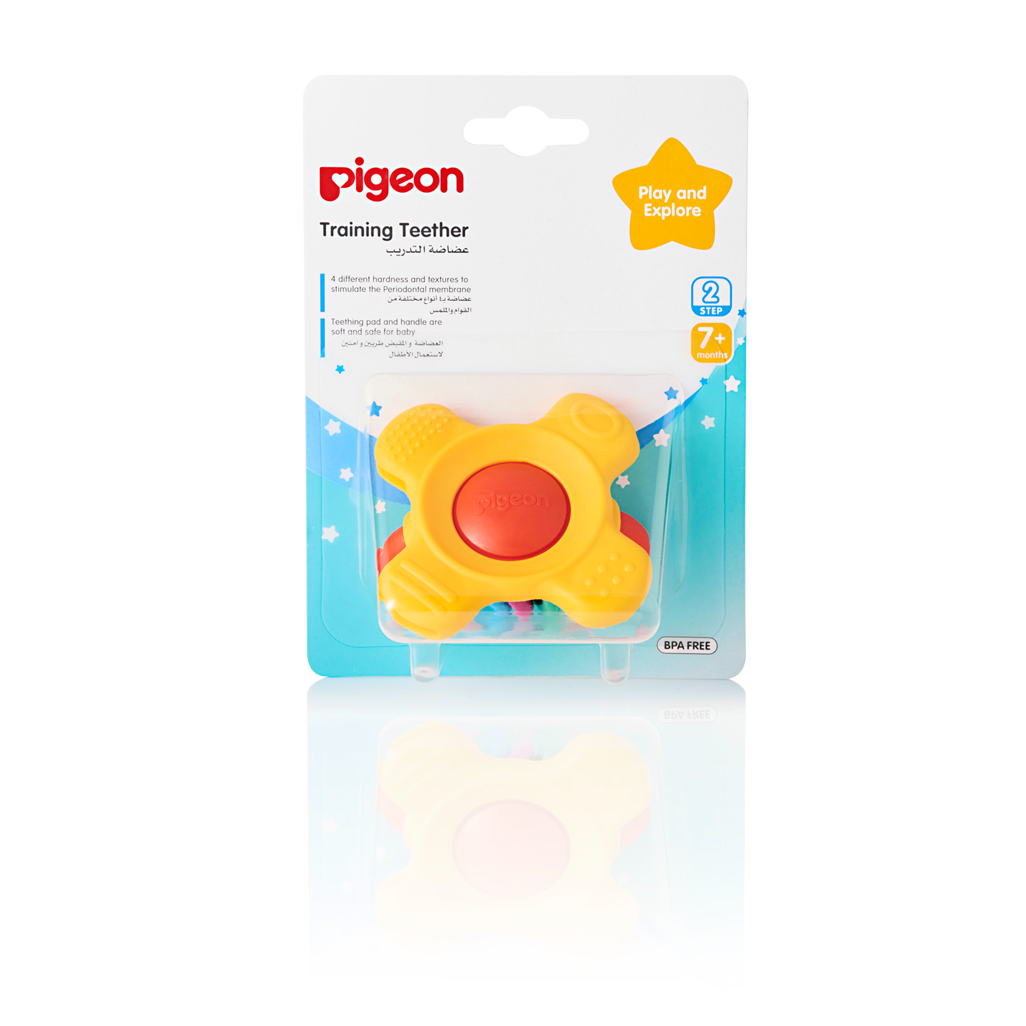 Pigeon - Training Teether Step 2