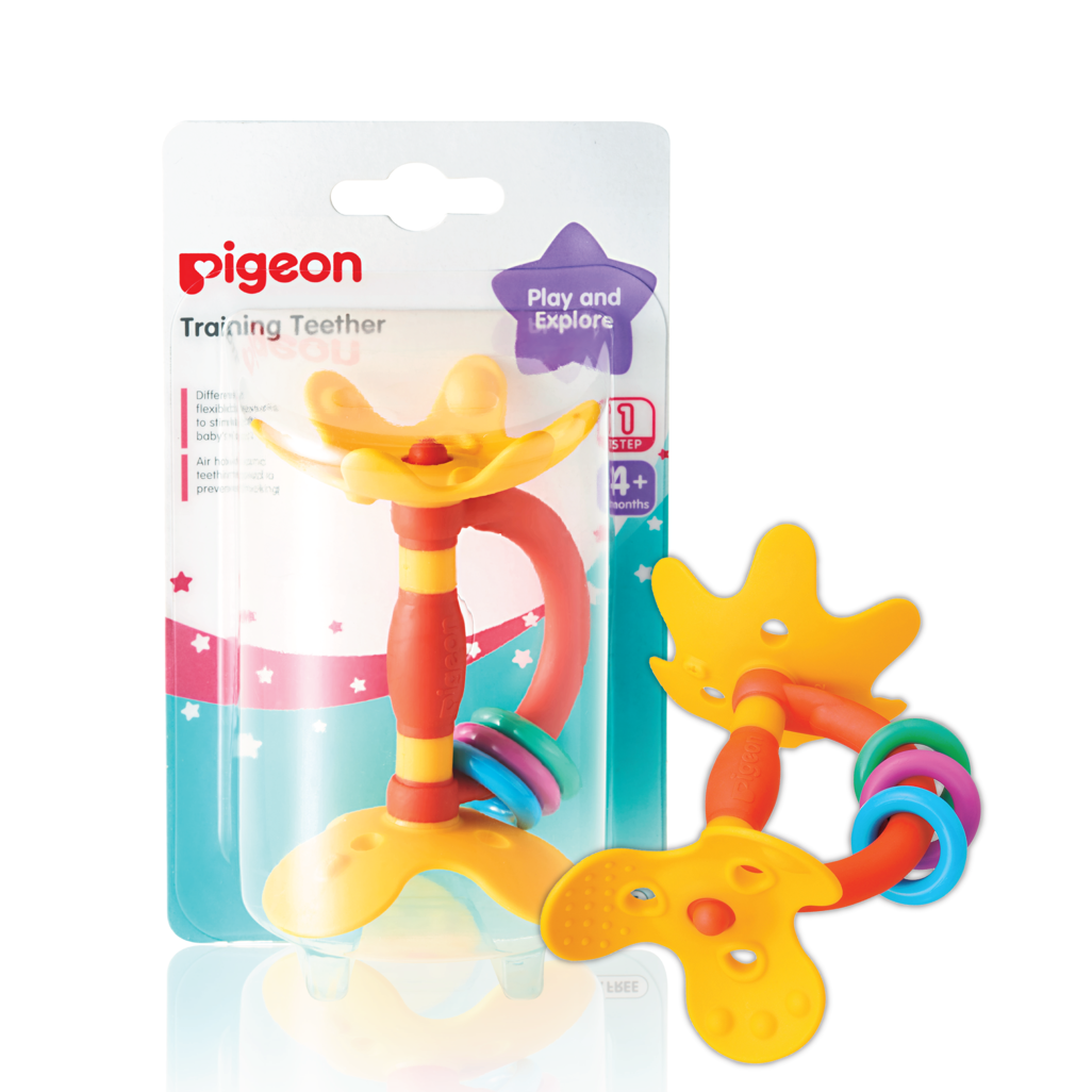 Pigeon - Training Teether Step 1