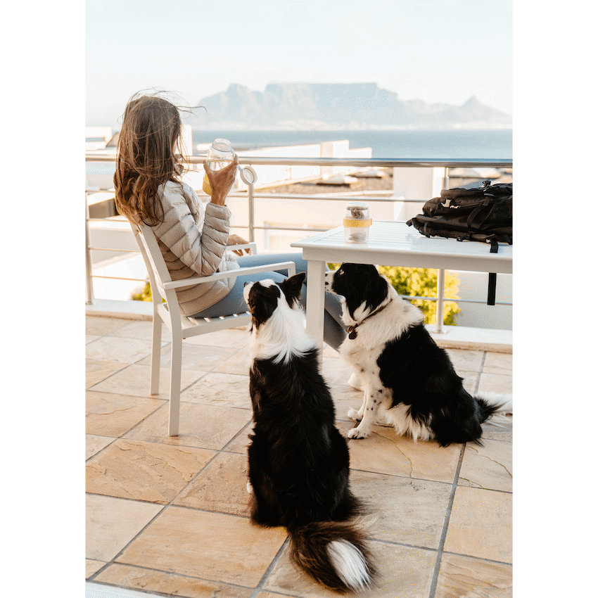 LocknLock Pet Water Bottle & Bowl 1lt - image 3