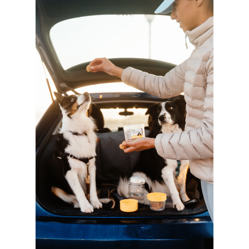 LocknLock Pet food container 360+310ml ( Order in Qty of 6) - image 4