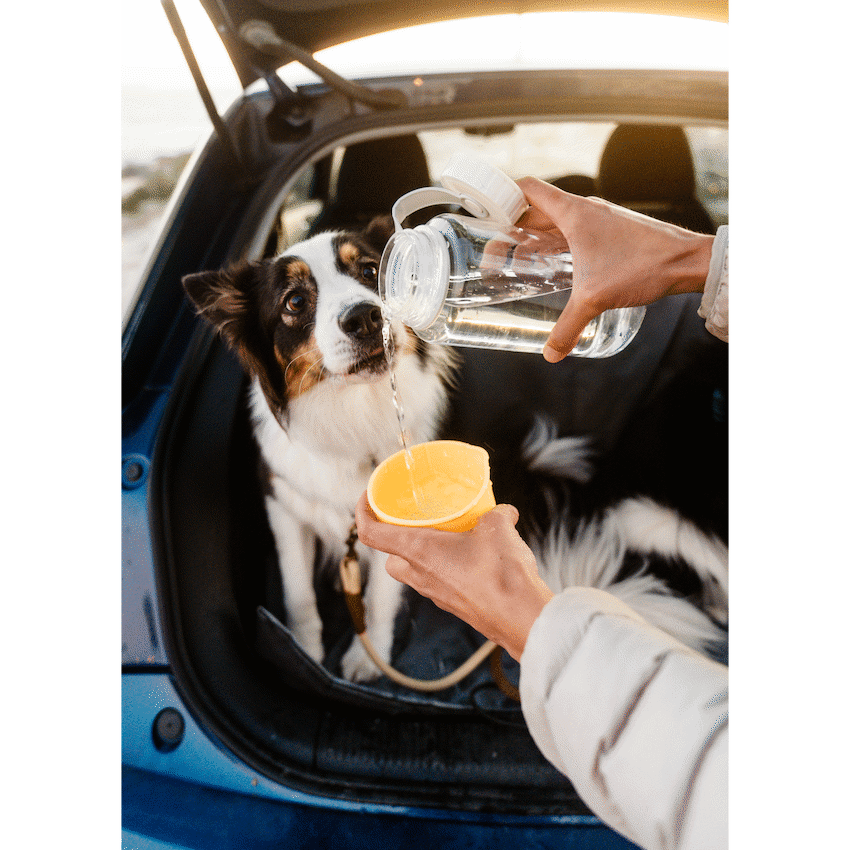 LocknLock Pet Water Bottle & Bowl 1lt - image 4