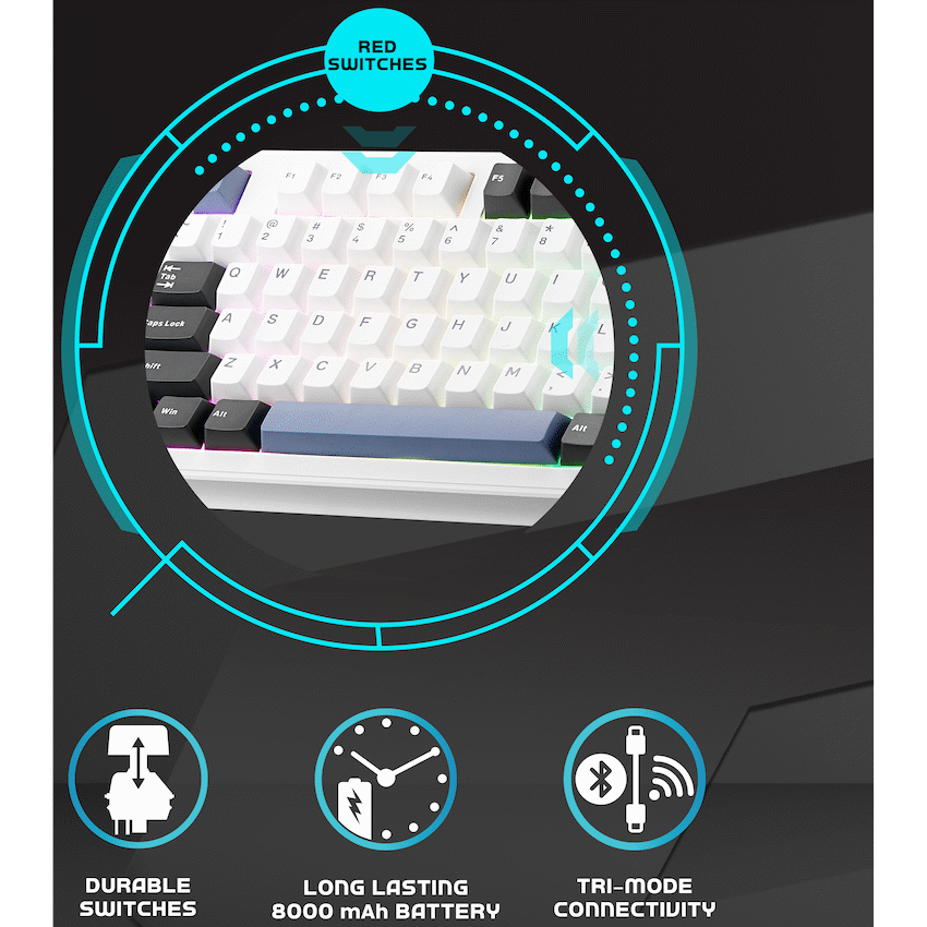 Volkano Gaming Obsidian X1 TKL Mechanical Tri-mode keyboard with Red switches - image 4