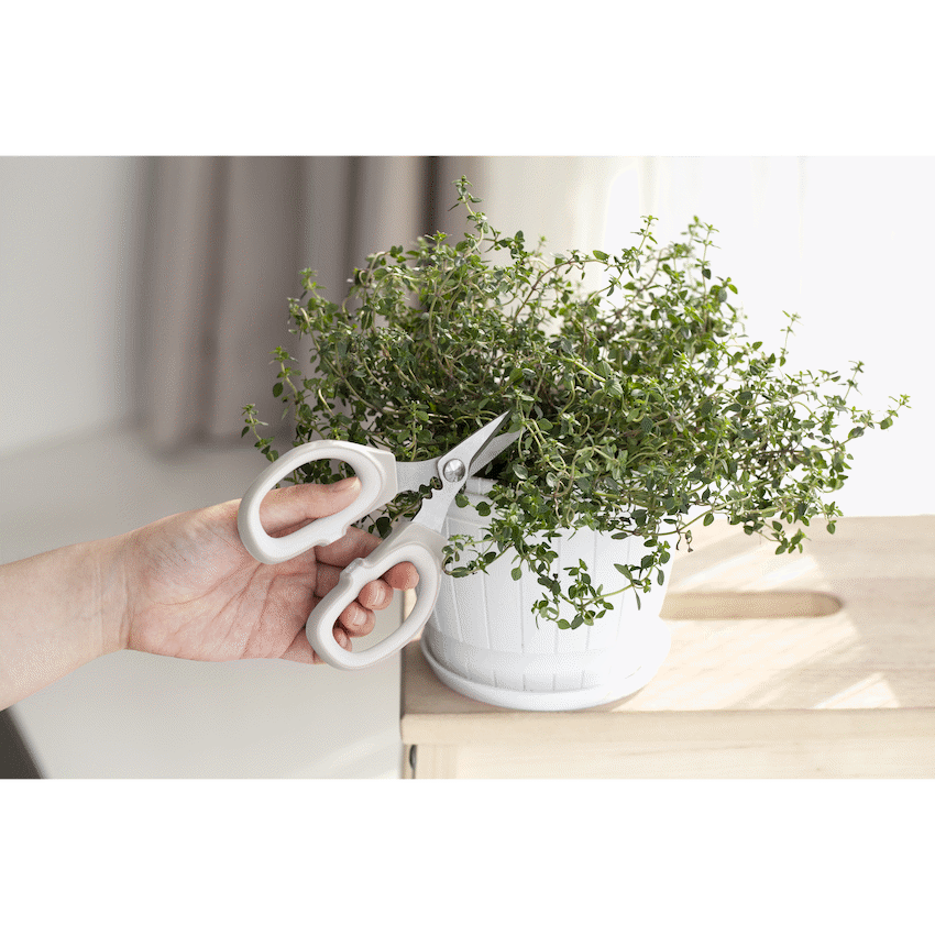 Kitchen Inspire Kitchen Scissors Small - image 4