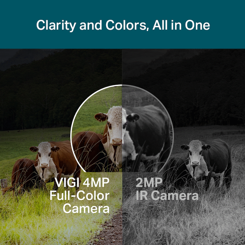 TP-Link Vigi C540-4G 4MP 4mm Outdoor Full-Color 4G PT Network Camera - image 5