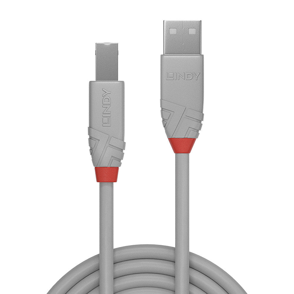 LINDY 0.5M USB AM TO B CABLE ANTHRA GREY (36681) - image 2