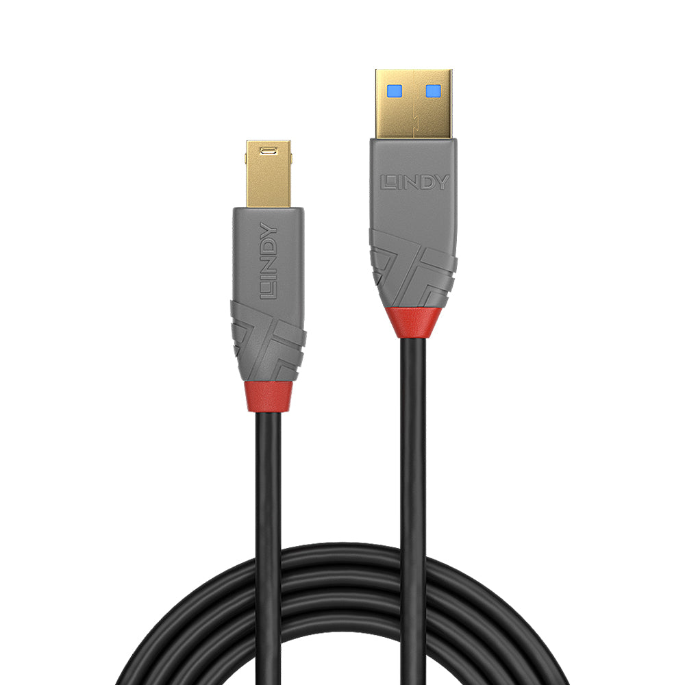 LINDY 3M USB3.0 A-M TO B-M CABLE ANTHRA (36743) - image 2