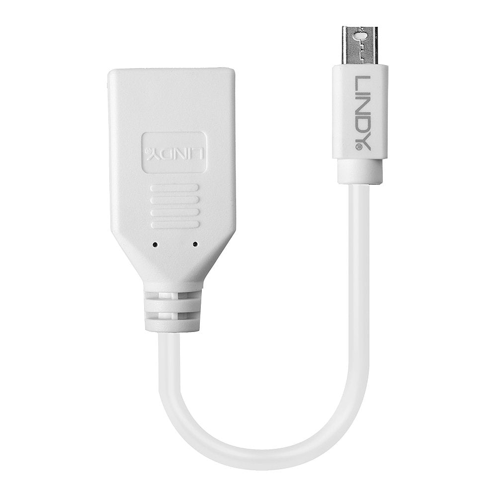 LINDY 15CM MINI DP(M) TO DISP PORT (F) ADAP(41021) - image 2