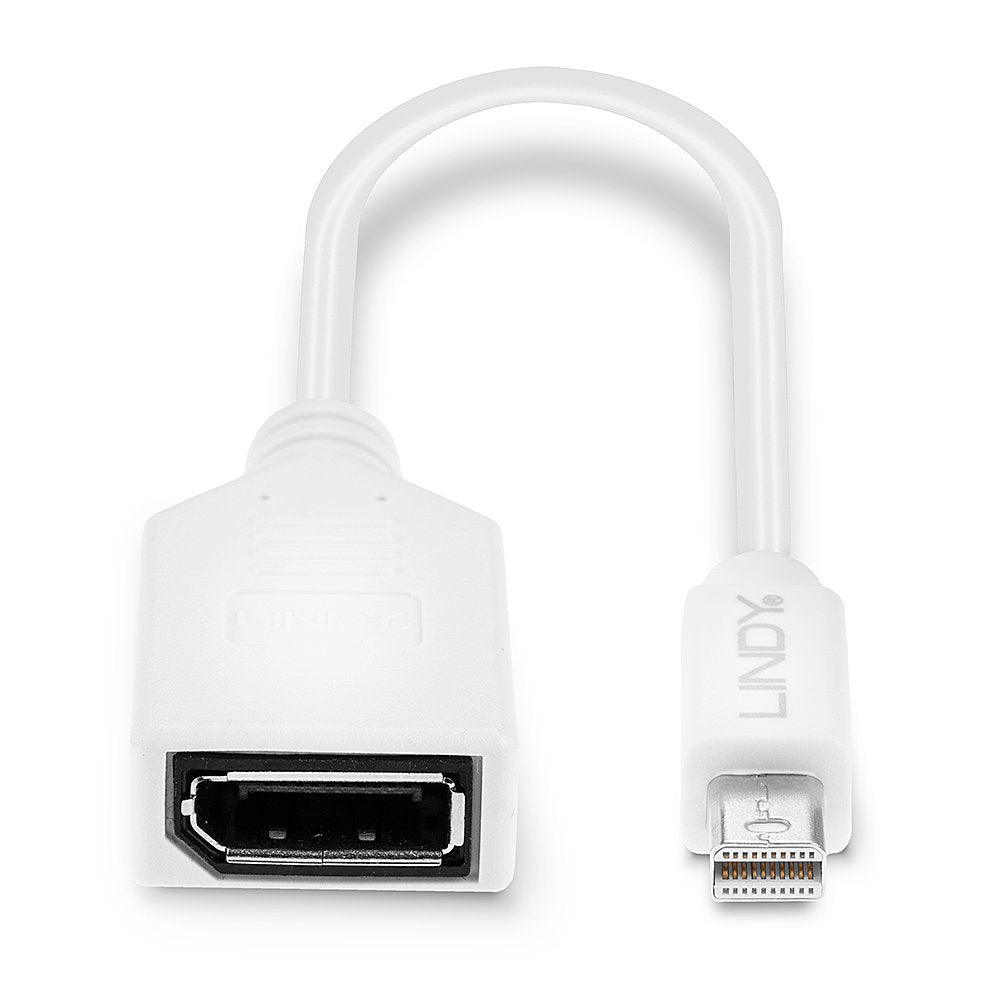 LINDY 15CM MINI DP(M) TO DISP PORT (F) ADAP(41021) - image 4