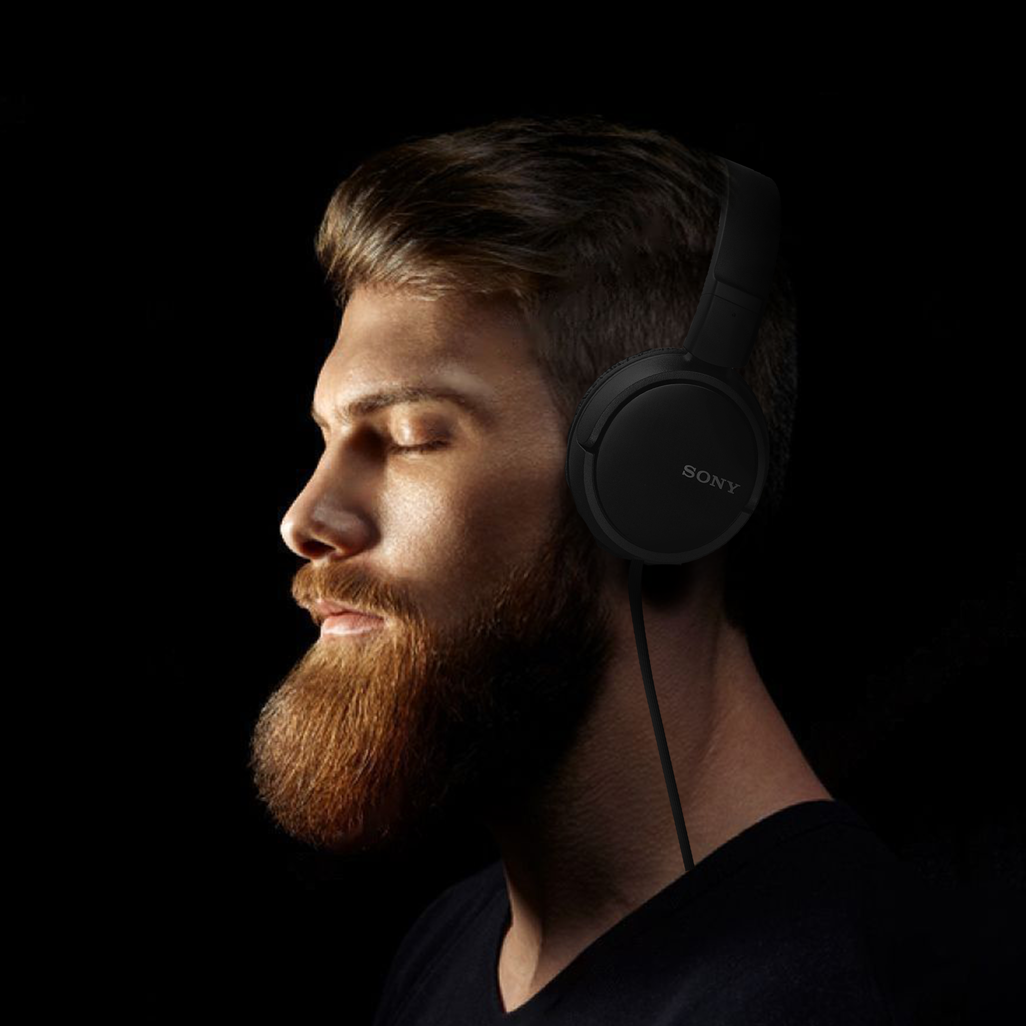 Sony MDR-ZX110 (Black) Headphones Earphone Foldable