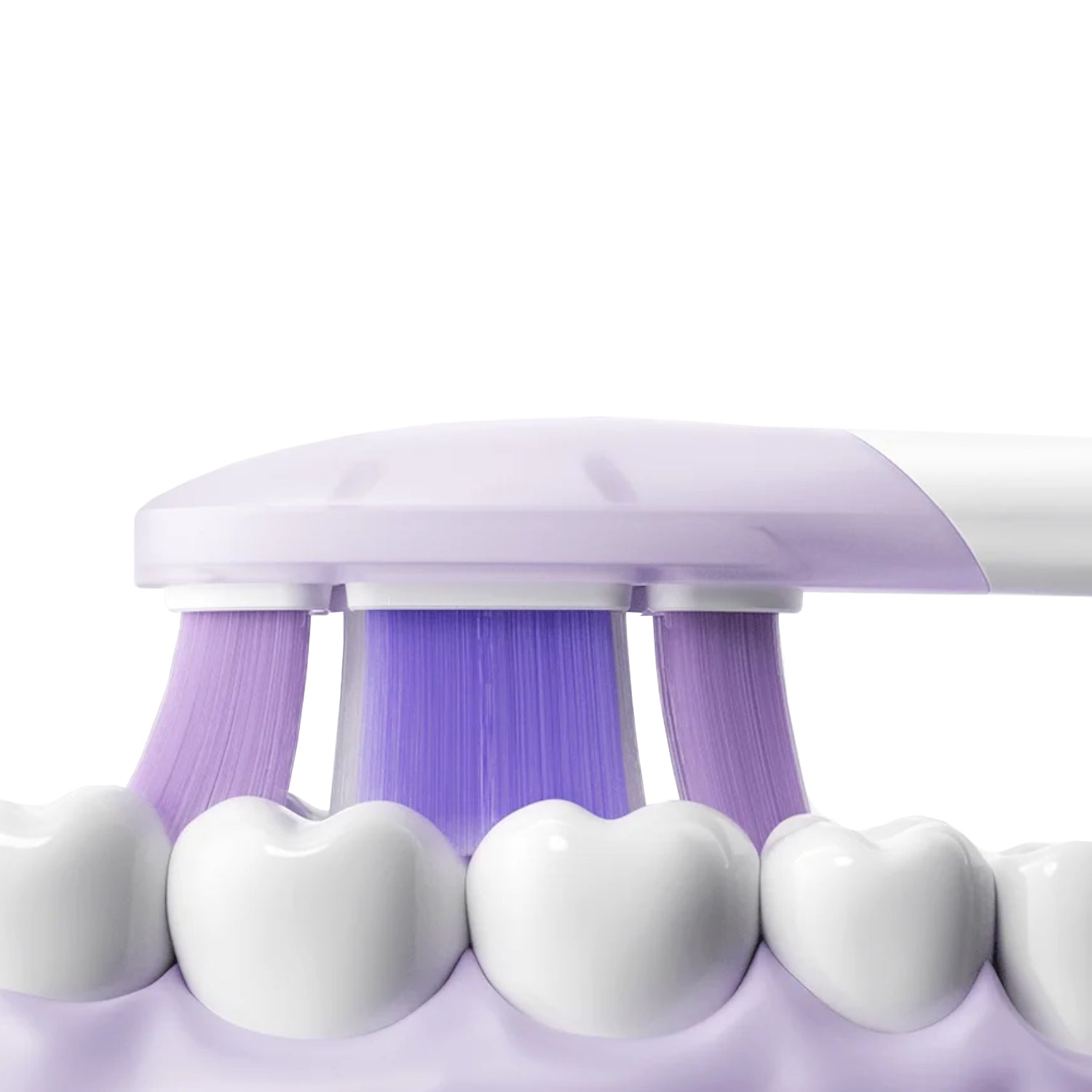 Xiaomi Oscillation Electric Toothbrush Pro Replacement Heads (Soft) – image 6