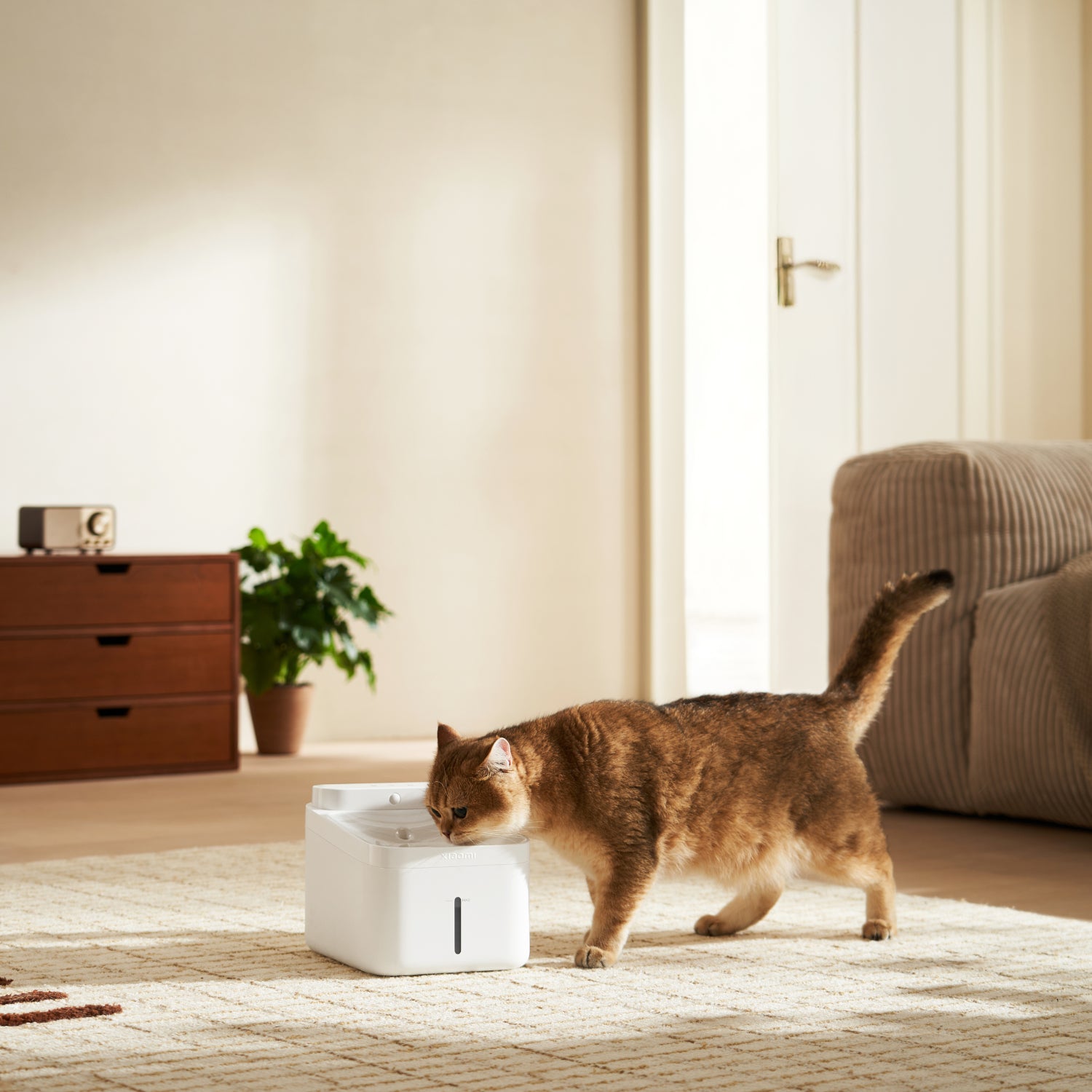 Xiaomi Smart Pet Fountain 2 – image 5