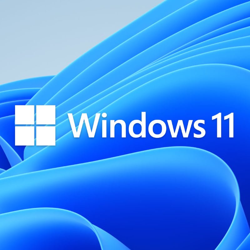 MICROSOFT WIN 11 PRO 64BIT DSP – image 2