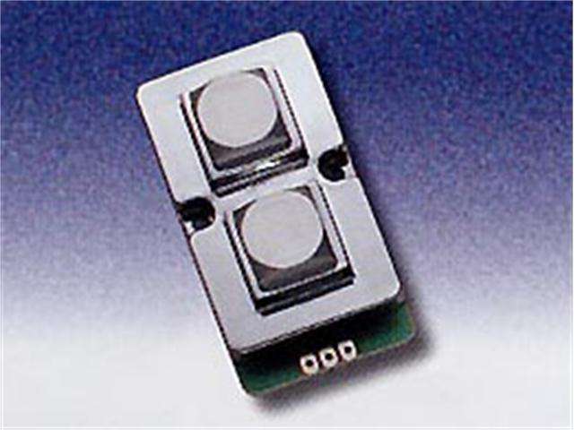 1x2 Matrix Keypad with 2 Blank Metal Keys