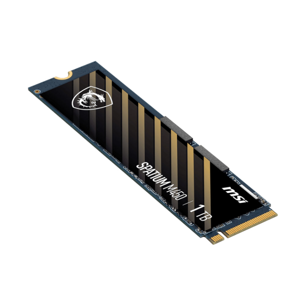 MSI SPATIUM M450 M.2 NVME Gen 4 1TB – image 4