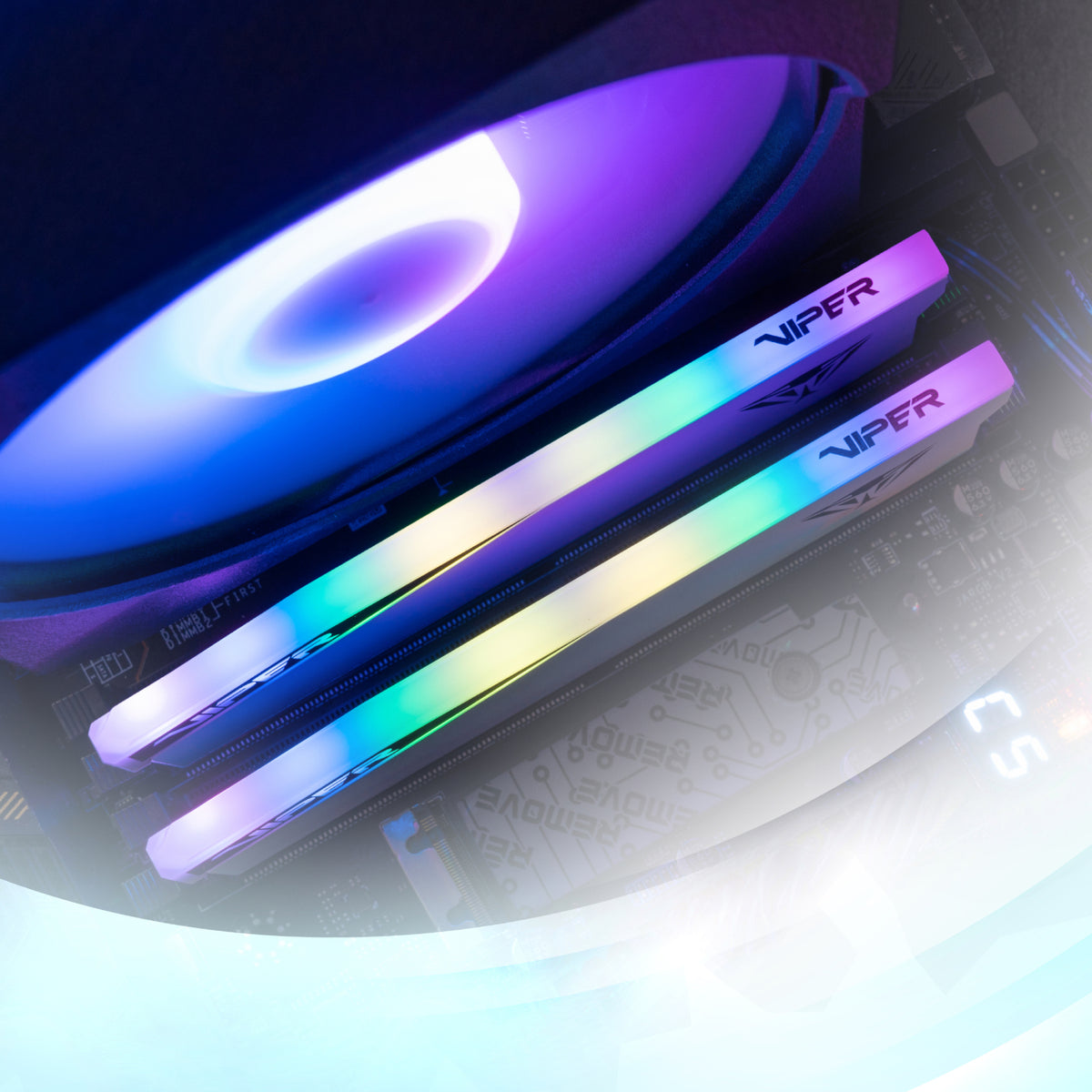 Patriot Viper Elite 5 RGB 32GB 6000MHz DDR5 Desktop Gaming Memory Kit - White – image 5
