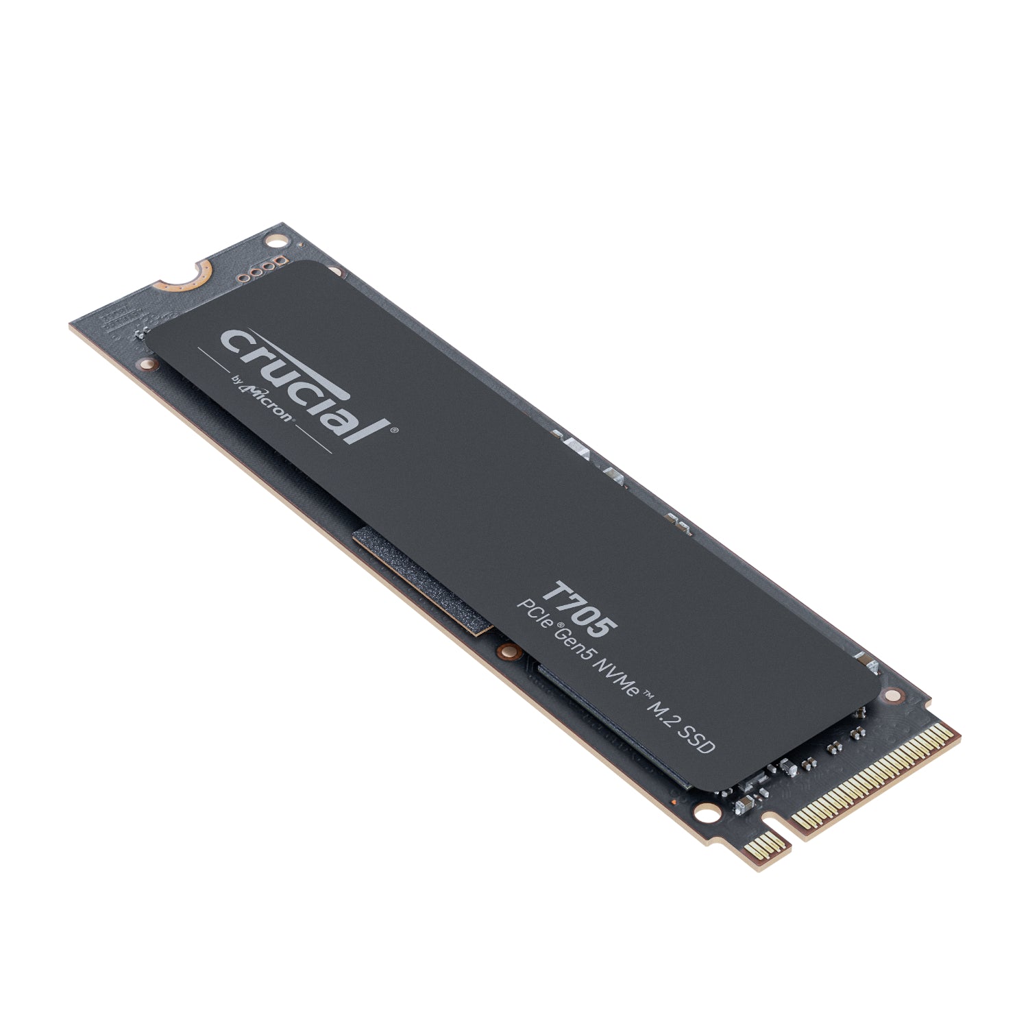 PCBuilder Ryzen 9 9900X MICHELANGELO Windows 11 Creator PC – image 12