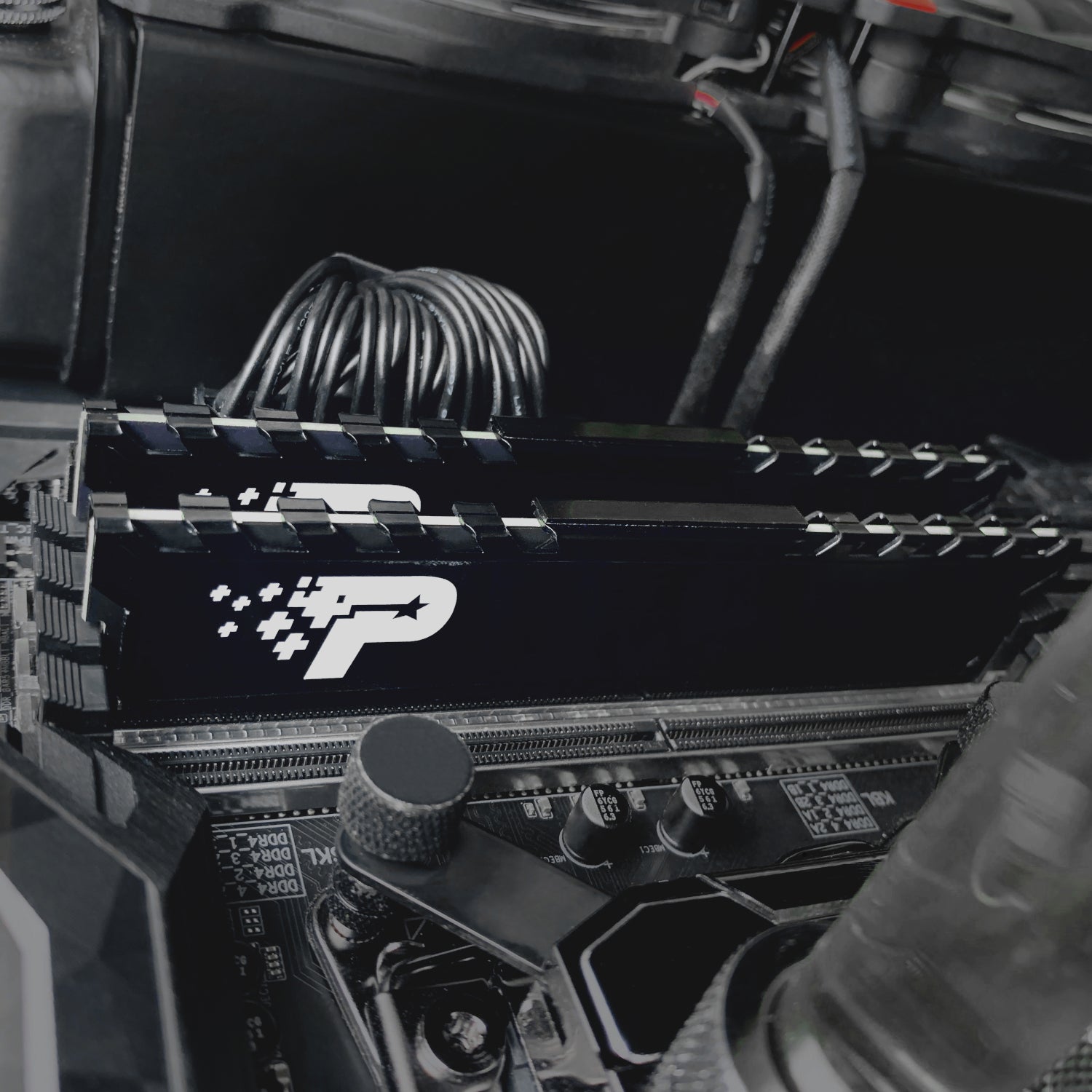 Patriot Signature Premium Line DDR4 16GB 3200MHz UDIMM – image 5