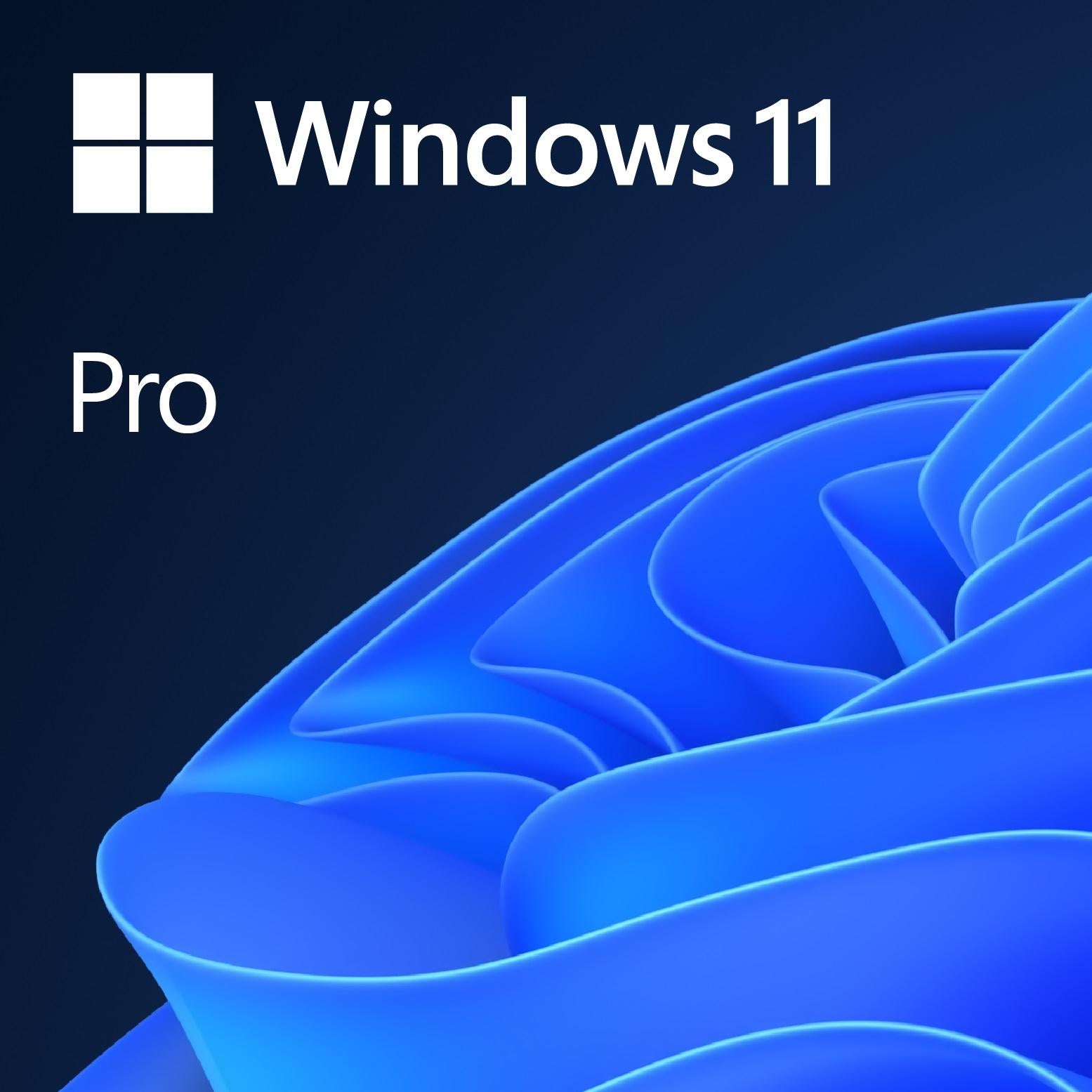 WIN 11 PRO 64BIT ENG 1PK DSP DVD - image 2