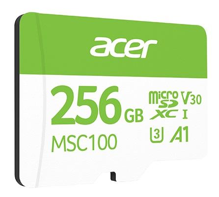 MICRO SD 256GB