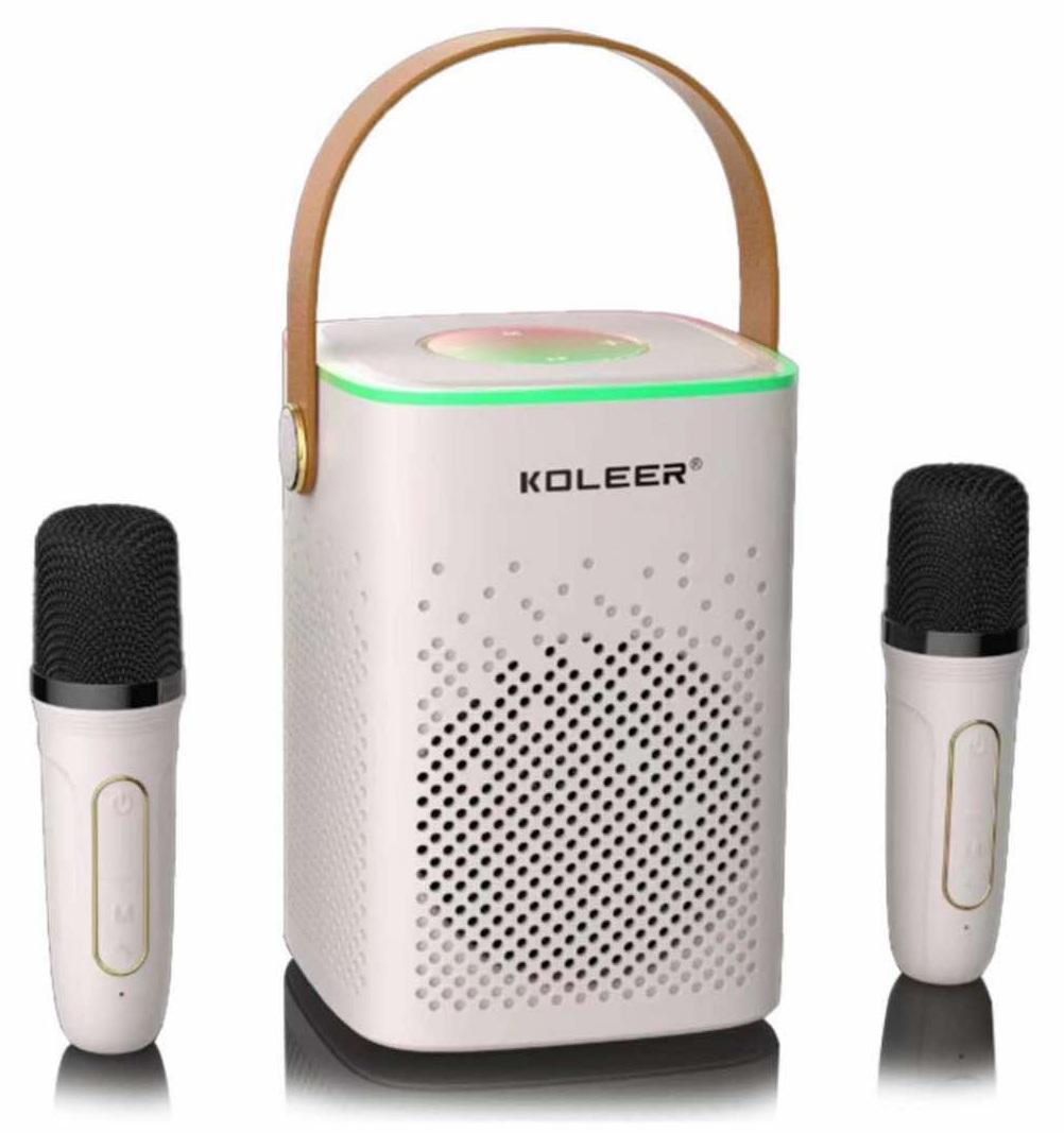 BLUE TOOTH SPEAKER