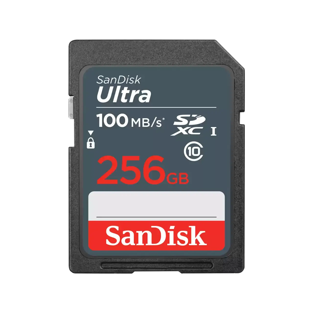 SD CL10: 256GB