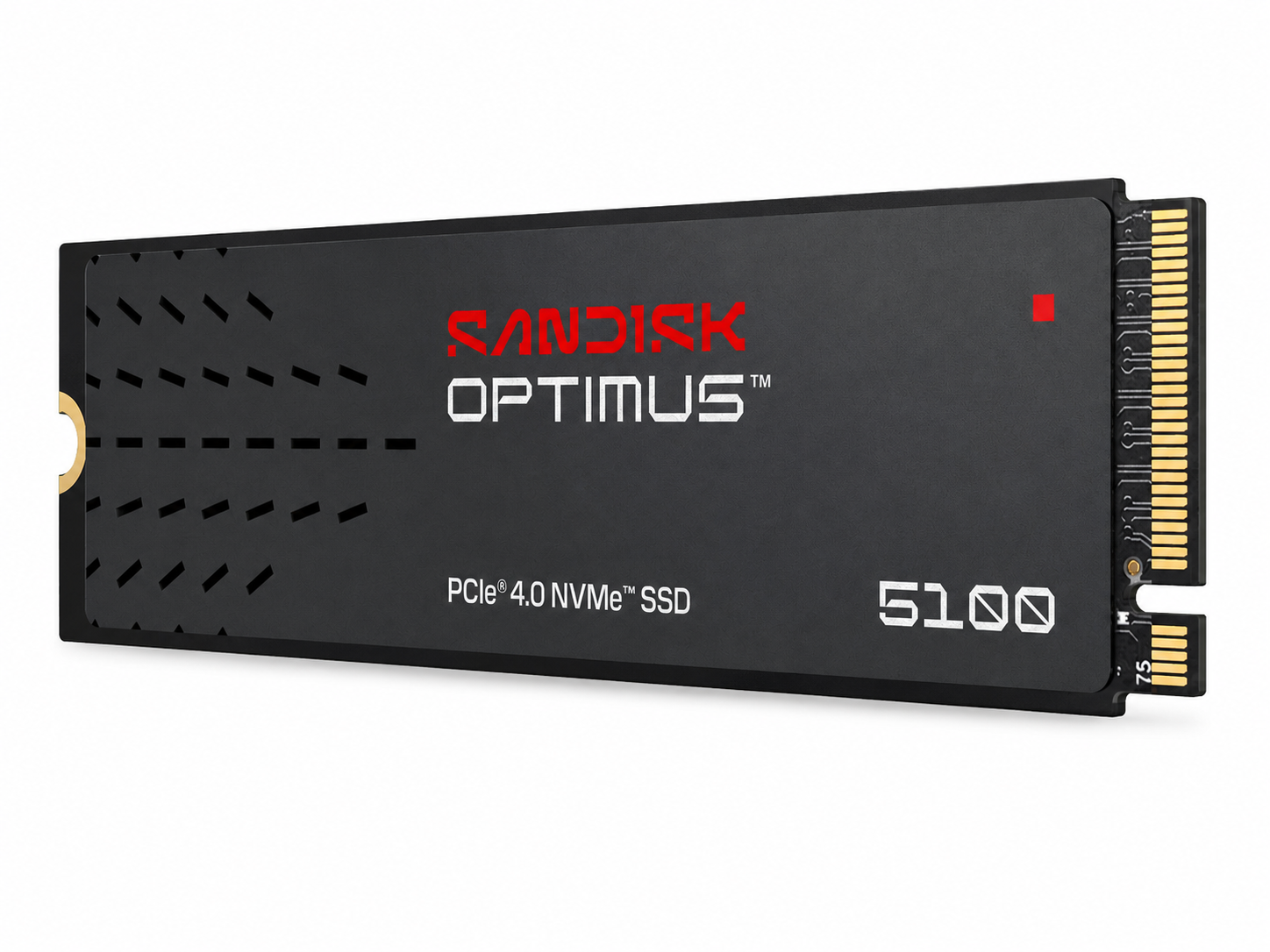 M.2  NVME   1000GB