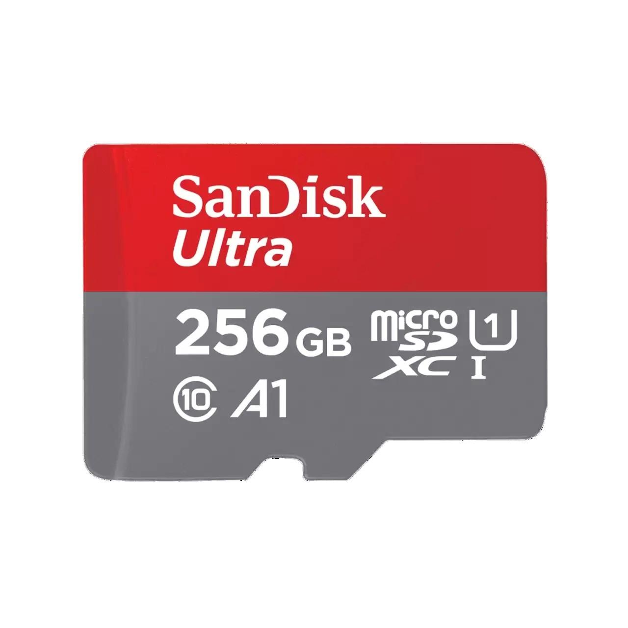 MSD CL10: 256GB